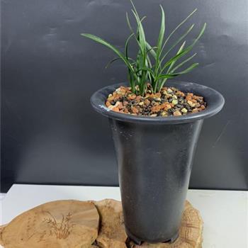 一句话叫前任看了心疼 说给前任的心酸的话