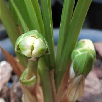 对未来迷茫失望的句子说说心情