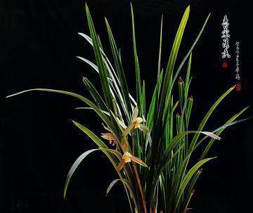 一段很现实的话适合发朋友圈晚安(精选60句)