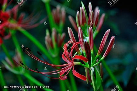 押韵顺口溜敬酒 祝酒词大全简单幽默推荐67句