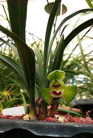 【精选】最有深度的古文情话 千古绝句最美句子汇编83句