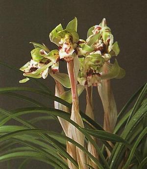 万象更新的意思和造句 用万象更新造句大全