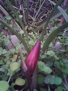 2021年朋友圈干净简单句子79句