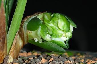 6月您好5月再见句子文案简短大全合集40句