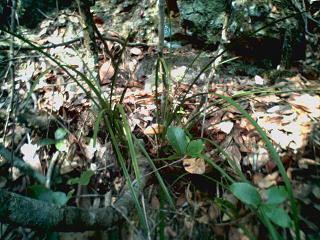 2021妇女节微信唯美祝福句子96句