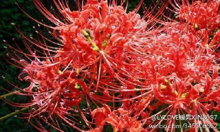 2021八月再见九月你好说说句子(精选34句)