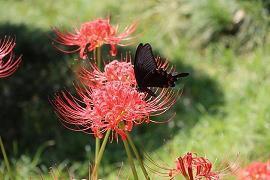 骗女人的话22句