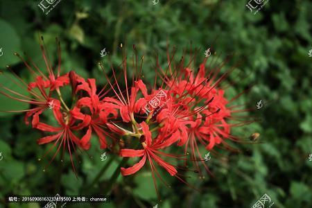 教师节祝福语简短一句话