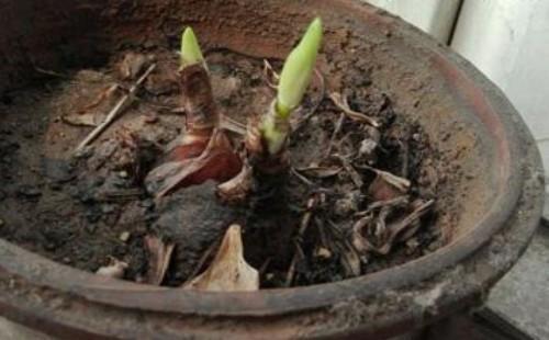 表达爱情伤痕累累的句子35句