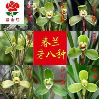 古风句子超拽霸气