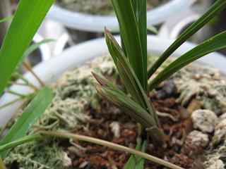 高级有质感的句子朋友圈