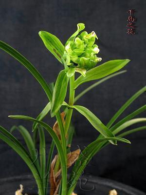 关于立秋的句子文案(精选57句)