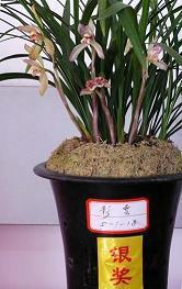 中秋节好词好句好段大全