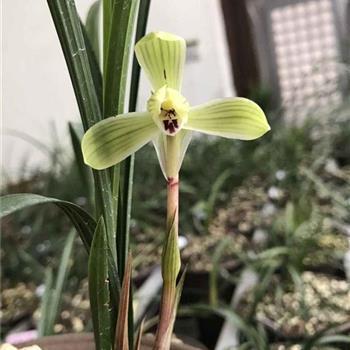 厨房的温暖的句子 爱上厨房的唯美句子(精选59句)