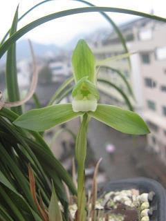 今日小雪发朋友圈的说说句子 24节气小雪的祝福语锦集22句