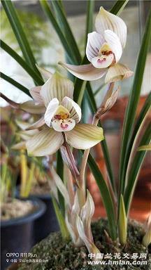 关于感谢相遇的句子