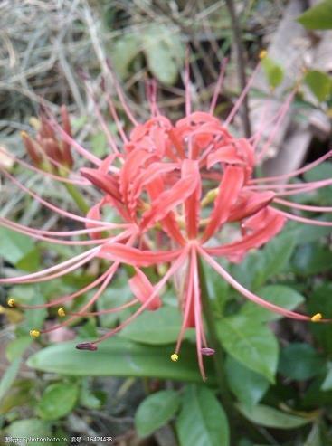 感人的精选句子