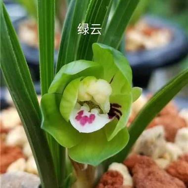 别烦恼开心就好的句子