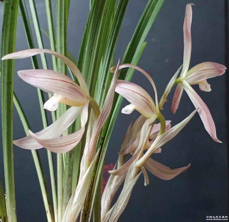 2021下雨天压抑的心情说说汇总78句