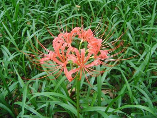 表达我很想你的短句 特别想你的幽默的句子(精选30句)