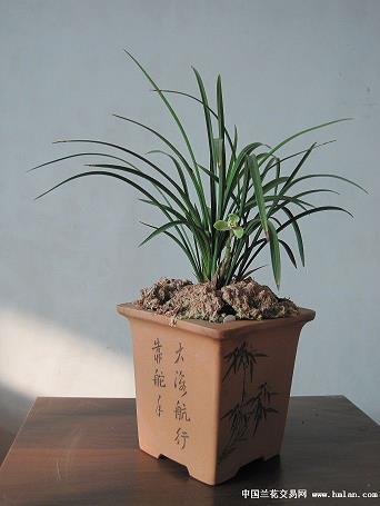 2021愚人节朋友圈说说句子69句