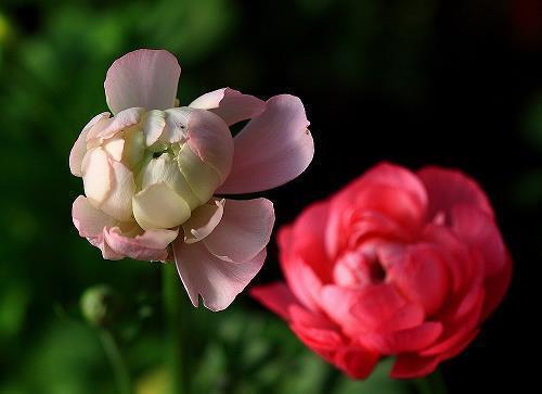 为家事心烦的句子