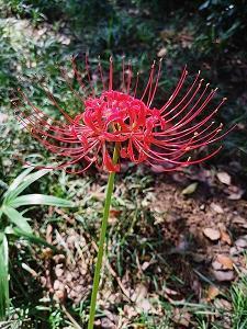 晒娃幽默说说 朋友圈晒娃怎么写心情