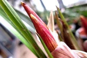 八月再见九月你好抖音最火朋友圈说说(精选74句)