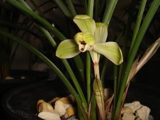 一些狂妄霸气高傲的句子