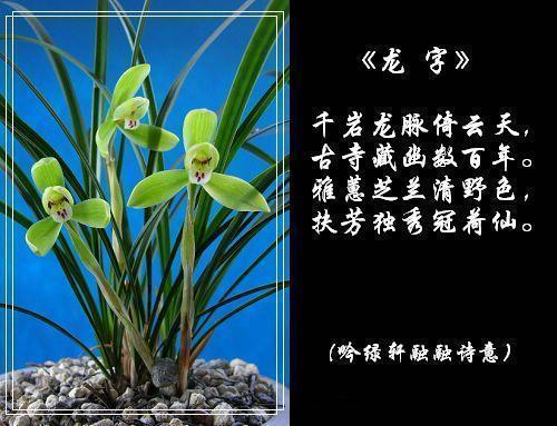 一句话打动人心爱情打动人心的情感语录汇总86句