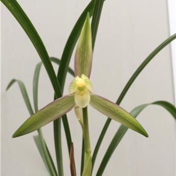 十月你好短句说说(精选91句)