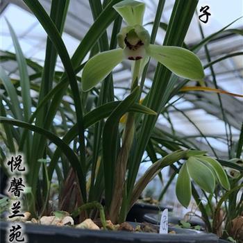 2021适合激励高考的句子推荐42句