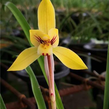 2020年感慨的句子100句