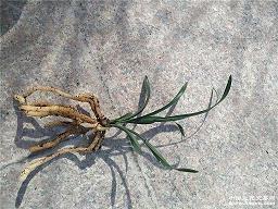 即将上学之前的话句 即将开学的句子 开学不可怕，可怕的是怎