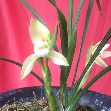 一天一句暖心话 早安短句正能量合集38句