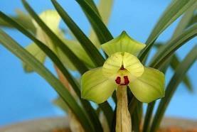 女孩子开心的理由的句子