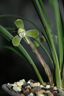 再见2020年拥抱2021年心情语录说说