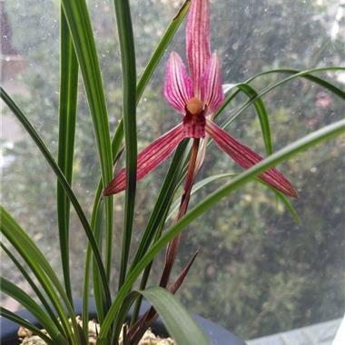 励志的句子简短致自己说说心情短语精选39句