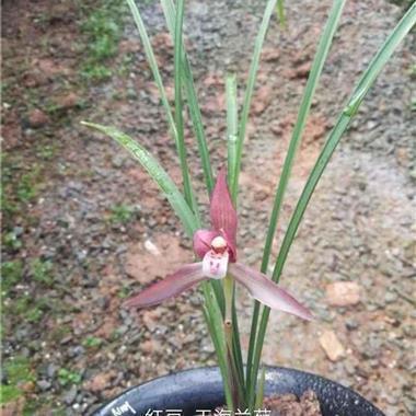 2021再见八月你好九月唯美说说(精选73句)