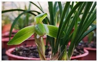 发快手的短句文案大全