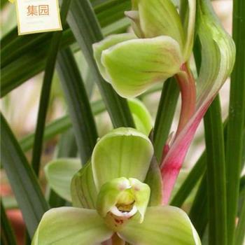 励志戒烟的句子致自己 戒烟的决心名句(精选55句)