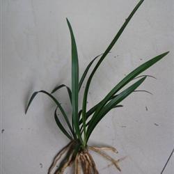 【推荐】微信全国高考的励志文案推荐101句