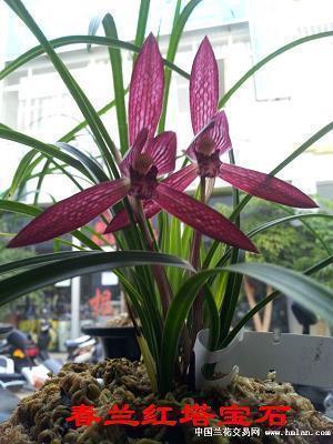 2021九月你好唯美经典说说(精选80句)