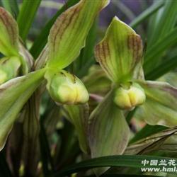 鼓励人的话语有哪些