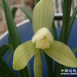 指纹密码智能锁公司形象广告语