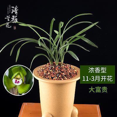 人生哲理情感的句子 生活感悟一句简短的话