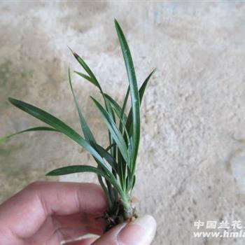 形容极度心碎的句子