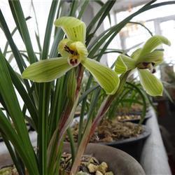 对友情失望到底的句子