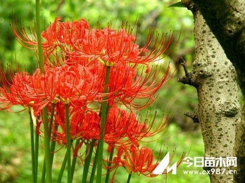让人舒心放松的句子 舒心干净的句子