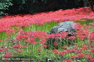 深夜情绪崩溃句子 让人瞬间泪奔的心情短句子